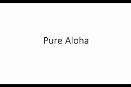 Pure Aloha Adalah Bahasa Indonesia Apa